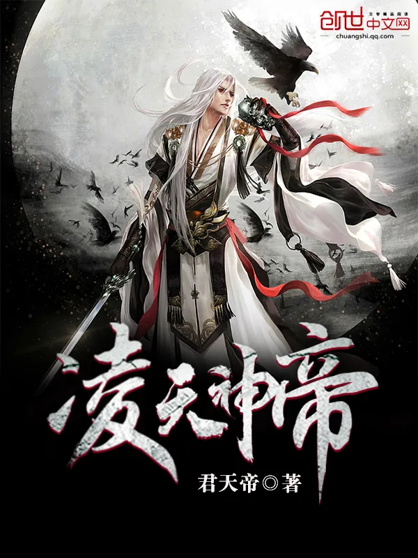 《凌天神帝》小说封面