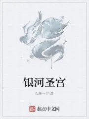 《银河圣宫》小说封面