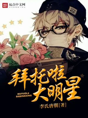 《拜托啦大明星》小说封面