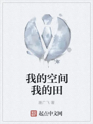 《我的空间我的田》小说封面