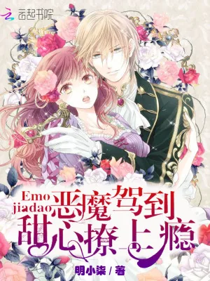 《恶魔驾到：甜心撩上瘾》小说封面