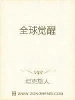 《全球觉醒》小说封面