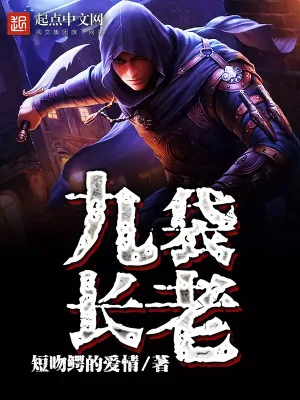 《九袋长老》小说封面