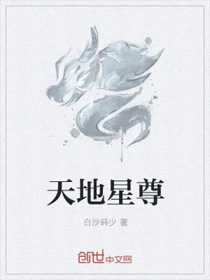 《天地星尊》小说封面
