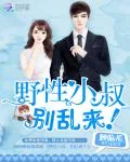《野性小叔，别乱来！》小说封面