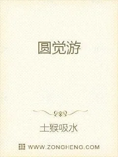 《圆觉游》小说封面