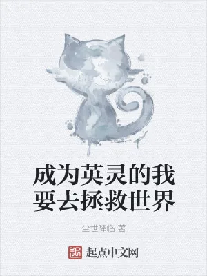 《成为英灵的我要去拯救世界》小说封面