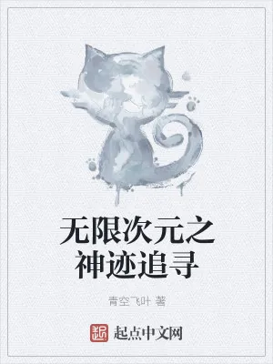 《无限次元之神迹追寻》小说封面