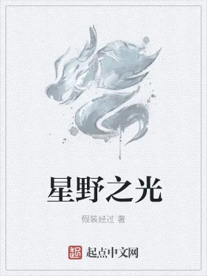 《星野之光》小说封面
