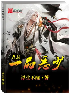 《天朝一品恶少》小说封面
