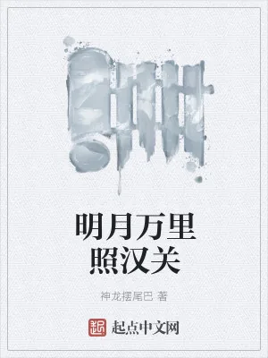 《明月万里照汉关》小说封面