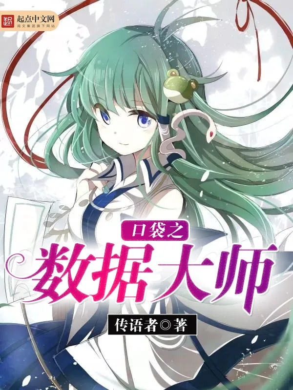 《口袋之数据大师》小说封面