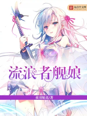 《流浪者舰娘》小说封面