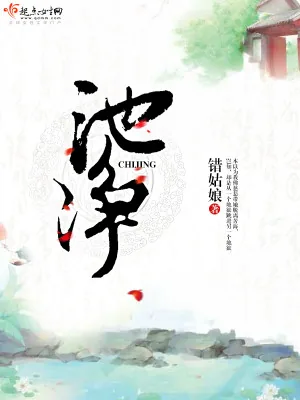 《池净》小说封面