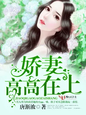 《娇妻高高在上》小说封面