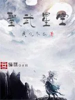 《圣武星空》小说封面