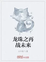 《龙珠之再战未来》小说封面