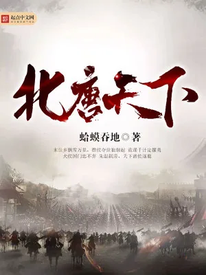 《北唐天下》小说封面