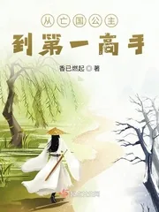 《从亡国公主到第一高手》小说封面