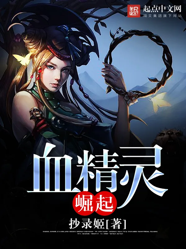《血精灵崛起》小说封面