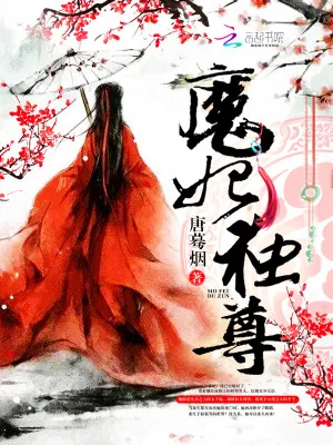 《魔妃独尊》小说封面