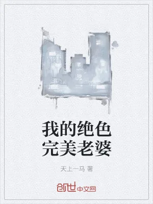 《我的绝色完美老婆》小说封面