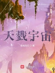 《天戮宇宙》小说封面