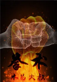 《拳术者》小说封面