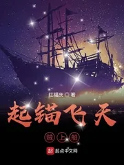 《起锚飞天贼上船》小说封面