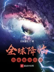 《全球降临：我能看到回报》小说封面