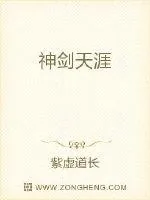 《神剑天涯》小说封面