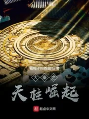 《大秦之天柱崛起》小说封面