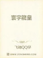 《环宇龙皇》小说封面