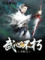 《武心不朽》小说封面