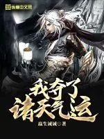《我夺了诸天气运》小说封面