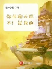《你的聊天群？不！是我的！》小说封面