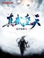 《真武凌天》小说封面