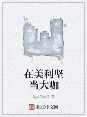 《在美利坚当大咖》小说封面