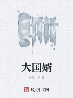 《大国婿》小说封面