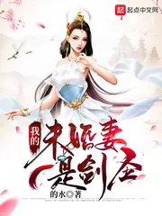 《我的未婚妻是剑圣》小说封面