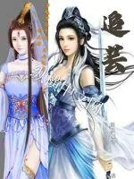 《追芸》小说封面