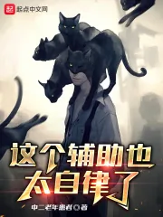 《这个辅助也太自律了！》小说封面