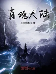 《肖魂大陆》小说封面