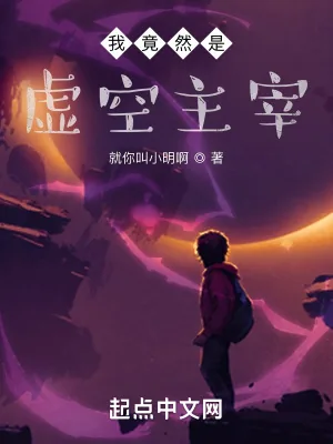 《我竟然是虚空主宰》小说封面