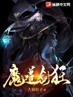 《魔道剑狂》小说封面