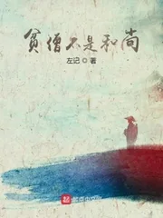 《贫僧不是和尚》小说封面