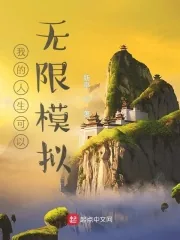 《我的人生可以无限模拟》小说封面