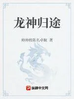 《龙神归途》小说封面