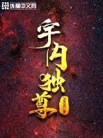 《宇内独尊》小说封面