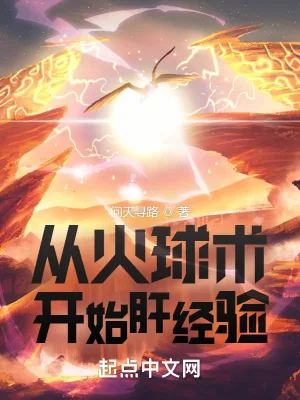 《从火球术开始肝经验》小说封面